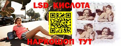 индика Заводоуковск