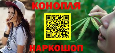индика Заводоуковск